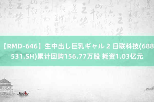 【RMD-646】生中出し巨乳ギャル 2 日联科技(688531.SH)累计回购156.77万股 耗资1.03亿元
