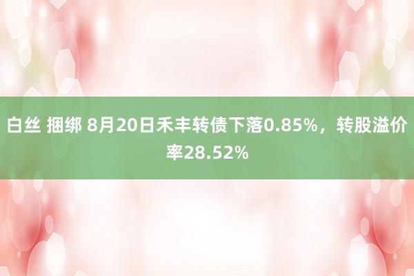 白丝 捆绑 8月20日禾丰转债下落0.85%，转股溢价率28.52%