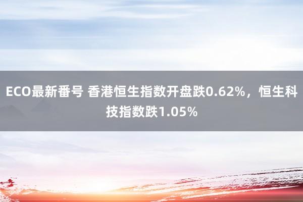 ECO最新番号 香港恒生指数开盘跌0.62%，恒生科技指数跌1.05%