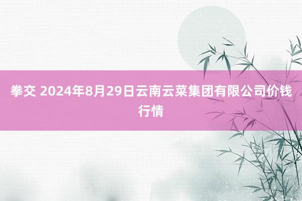 拳交 2024年8月29日云南云菜集团有限公司价钱行情