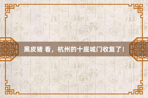 黑皮猪 看，杭州的十座城门收复了！