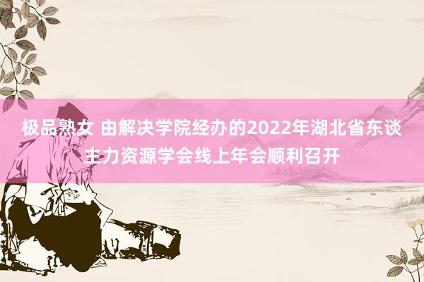 极品熟女 由解决学院经办的2022年湖北省东谈主力资源学会线
