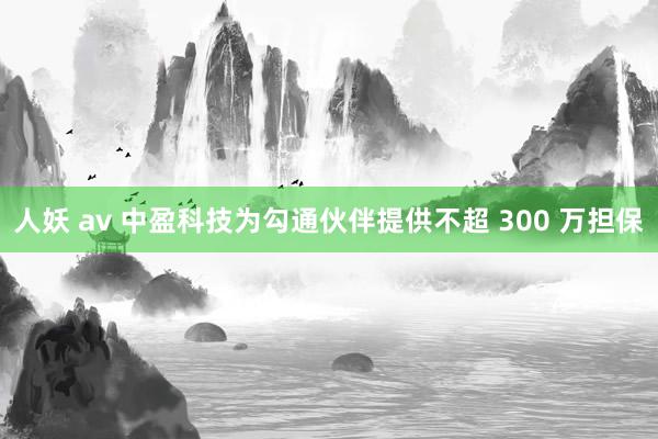 人妖 av 中盈科技为勾通伙伴提供不超 300 万担保