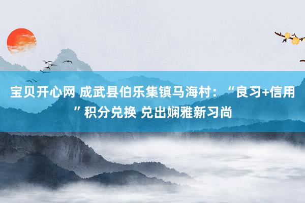 宝贝开心网 成武县伯乐集镇马海村：“良习+信用”积分兑换 兑