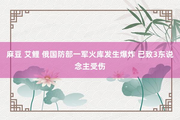 麻豆 艾鲤 俄国防部一军火库发生爆炸 已致3东说念主受伤