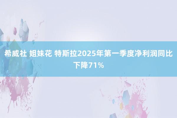 希威社 姐妹花 特斯拉2025年第一季度净利润同比下降71%