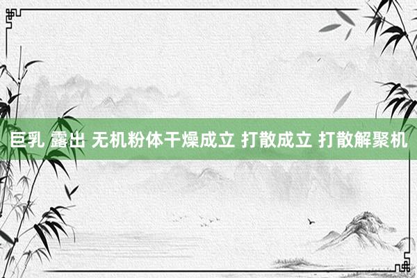 巨乳 露出 无机粉体干燥成立 打散成立 打散解聚机